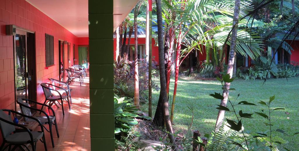 Daintree Rainforest Retreat Motel Exterior foto