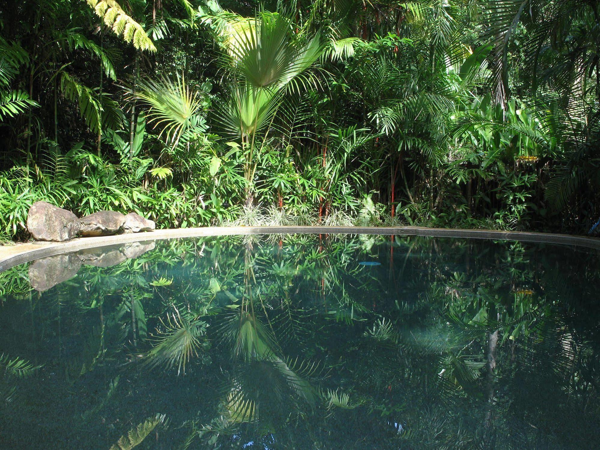 Daintree Rainforest Retreat Motel Exterior foto